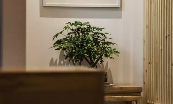 南寧美容院會(huì)所裝修設(shè)計(jì) 南寧美容院會(huì)所裝修設(shè)計(jì)