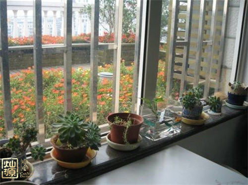 辦公室裝修-窗臺(tái)綠色擺放 辦公室裝修-窗臺(tái)綠色擺放