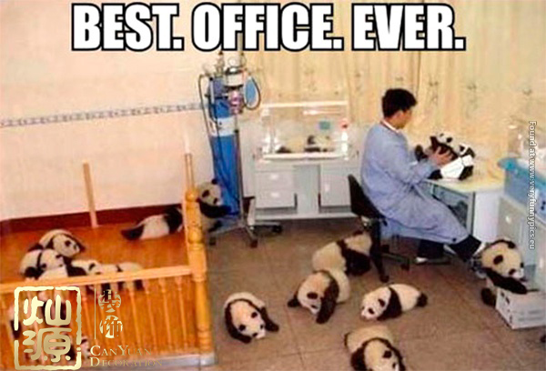 開玩笑把鄰居笑死 開玩笑把鄰居笑死